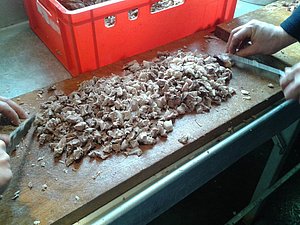 2012-03-03 11.40.26.jpg