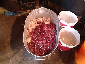 2012-03-03 11.42.52.jpg