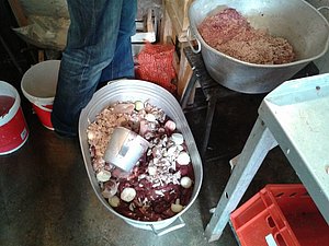 2012-03-03 12.26.45.jpg